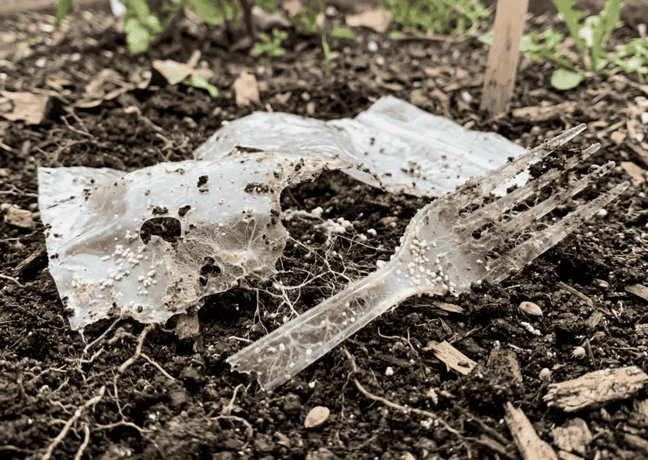 Biodegradation in soil